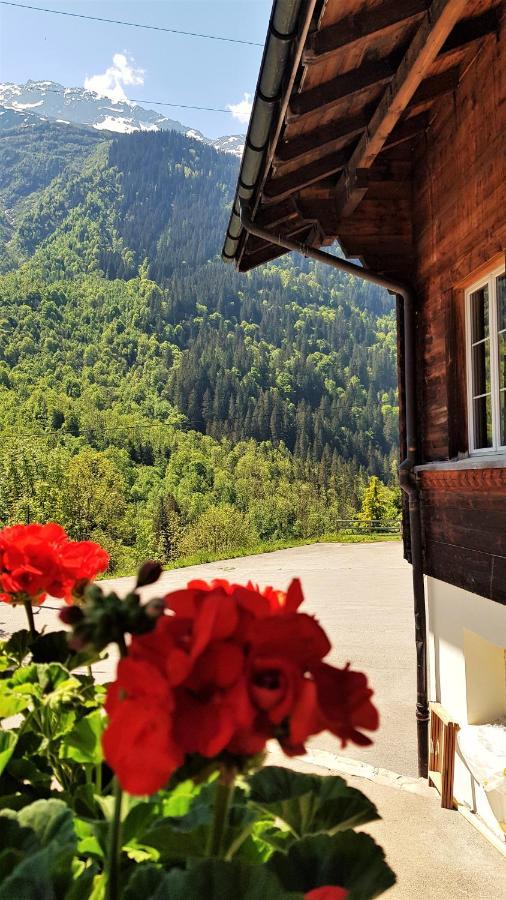 Gadmen Triftblick B&B 외부 사진